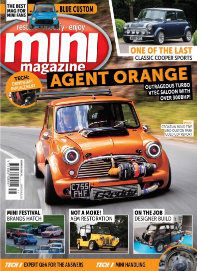 Mini Magazine Magazine Subscription