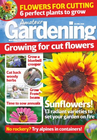 Amateur Gardening Magazine Subscription