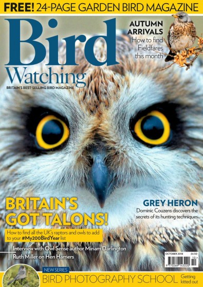 Bird Watching Magazine Subscription