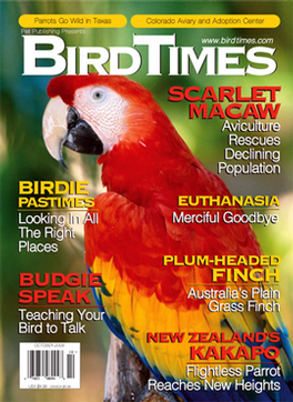 bird times magazine subscription whsmith bird times magazine subscription whsmith