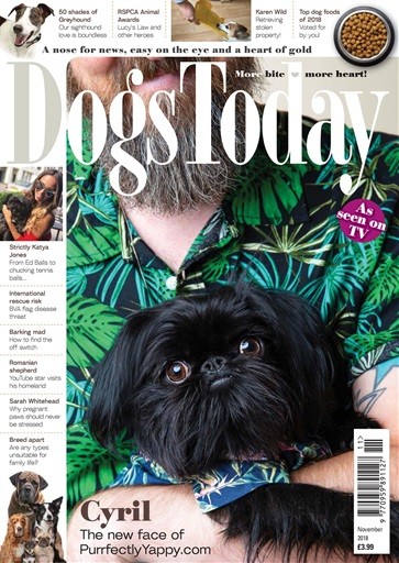 Dogs Today Magazine Subscription